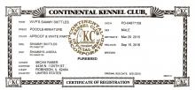 CKC Registration 