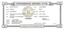 CKC Registration 